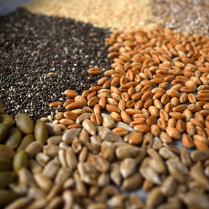 Seeds, Grains and Dried Fruits (various)